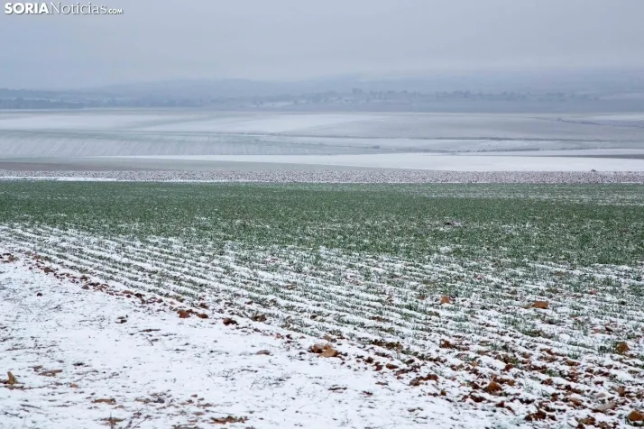Nieve en la provincia
