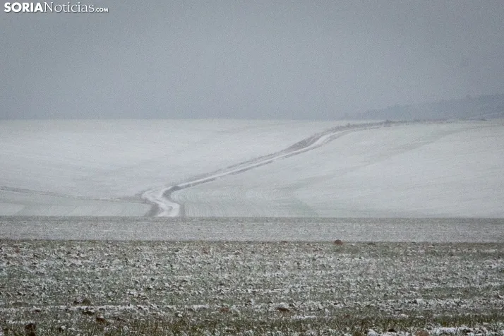 Nieve en la provincia