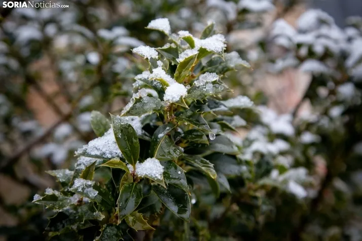 Nieve en la provincia