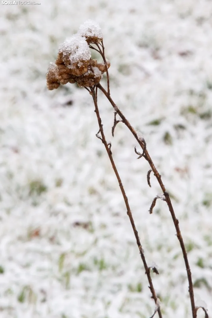 Nieve en la provincia