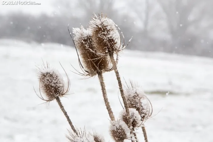 Nieve en la provincia