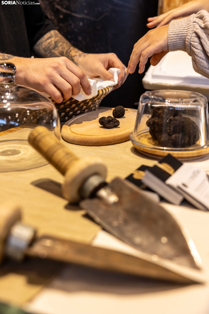 Feria de la Trufa de Abejar