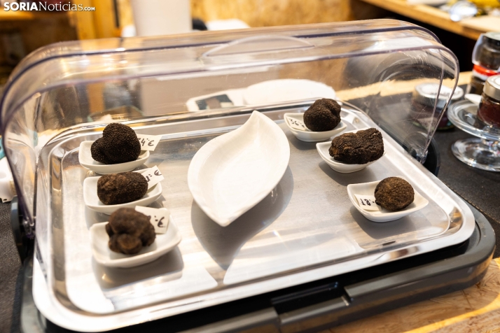 Feria de la Trufa de Abejar