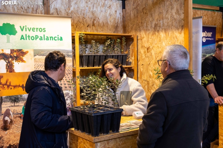 Feria de la Trufa de Abejar