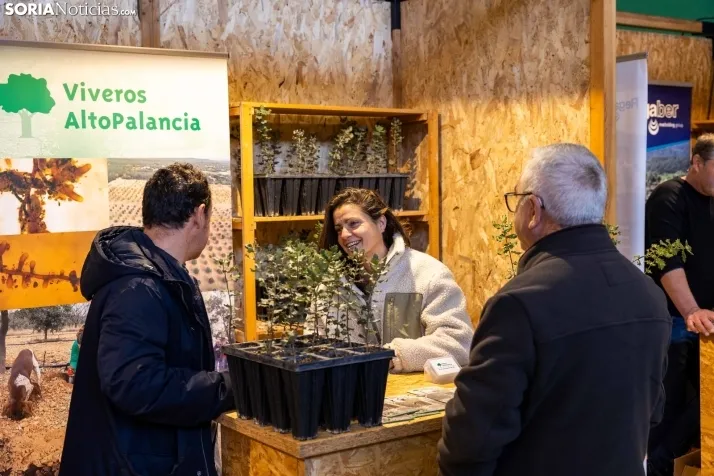 Feria de la Trufa de Abejar