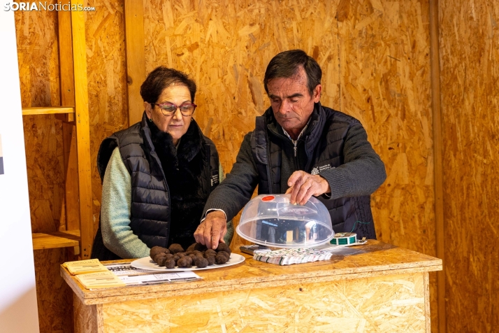 Feria de la Trufa de Abejar