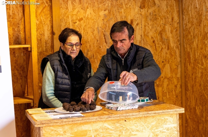 ¿Qué diferencia a la trufa de Soria de las demás?