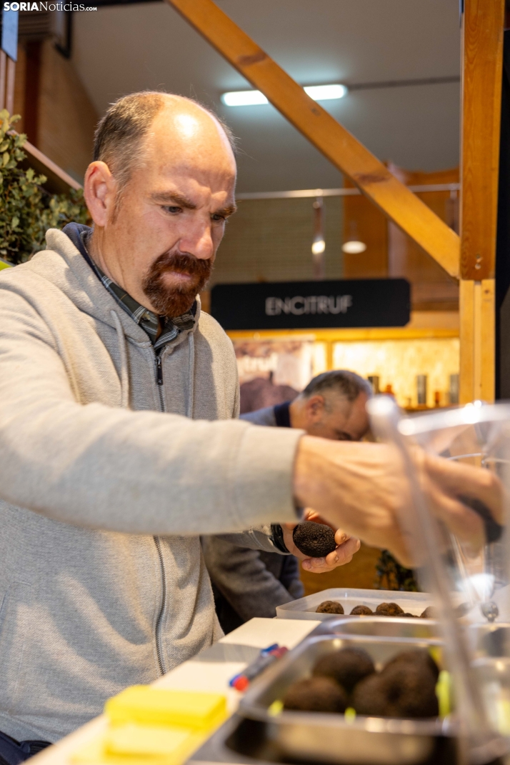 Feria de la Trufa de Abejar