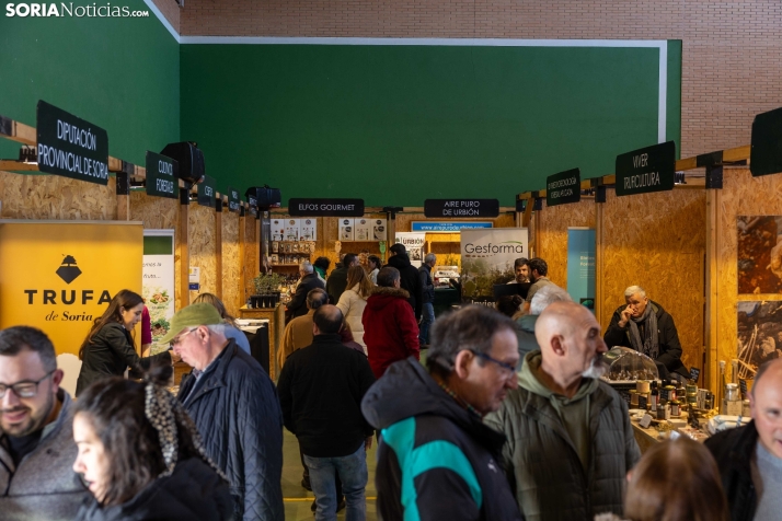 Feria de la Trufa de Abejar