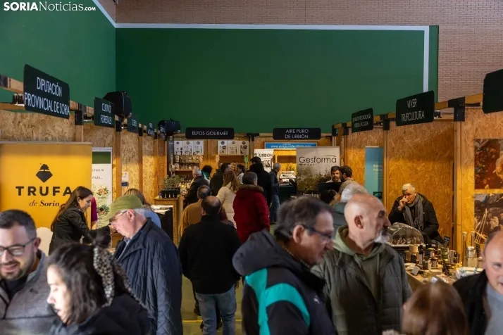 Feria de la Trufa de Abejar