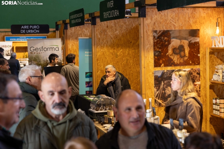 Feria de la Trufa de Abejar