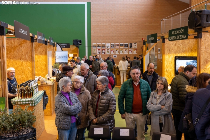 Feria de la Trufa de Abejar