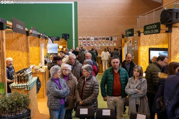 Feria de la Trufa de Abejar