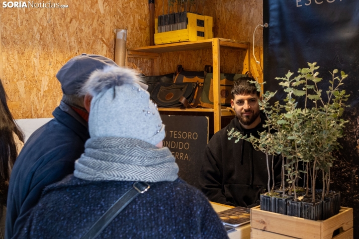 Feria de la Trufa de Abejar