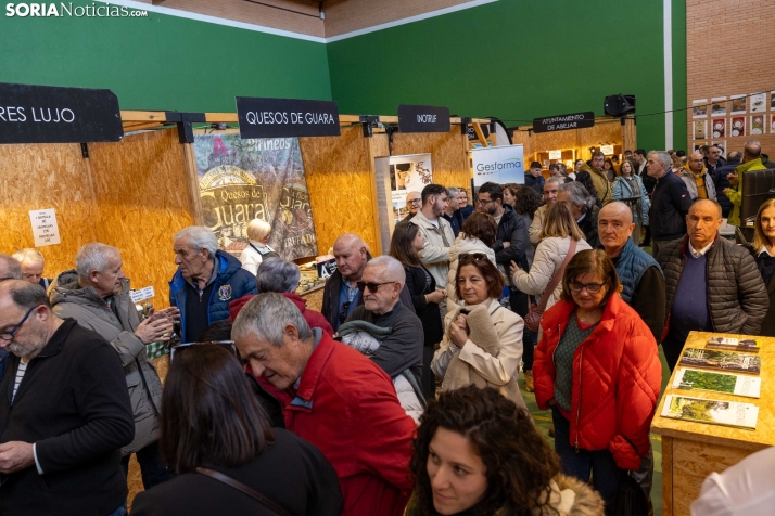 Feria de la Trufa de Abejar