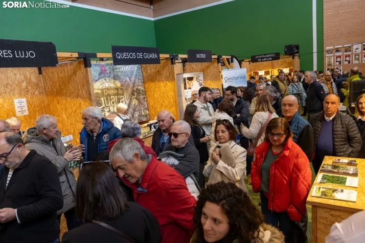 Feria de la Trufa de Abejar
