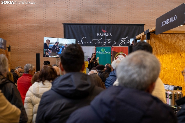 Feria de la Trufa de Abejar