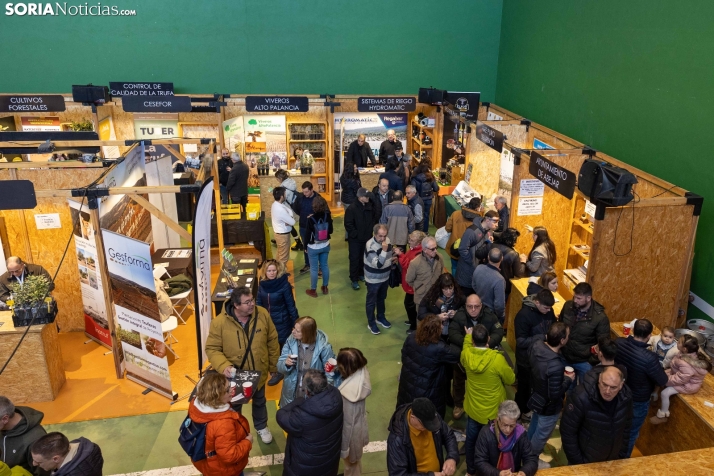 Feria de la Trufa de Abejar