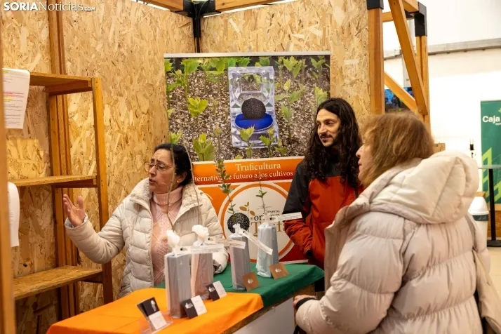 Feria de la Trufa de Abejar