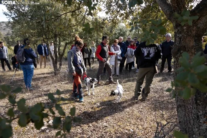 Paseo por una finca trufera