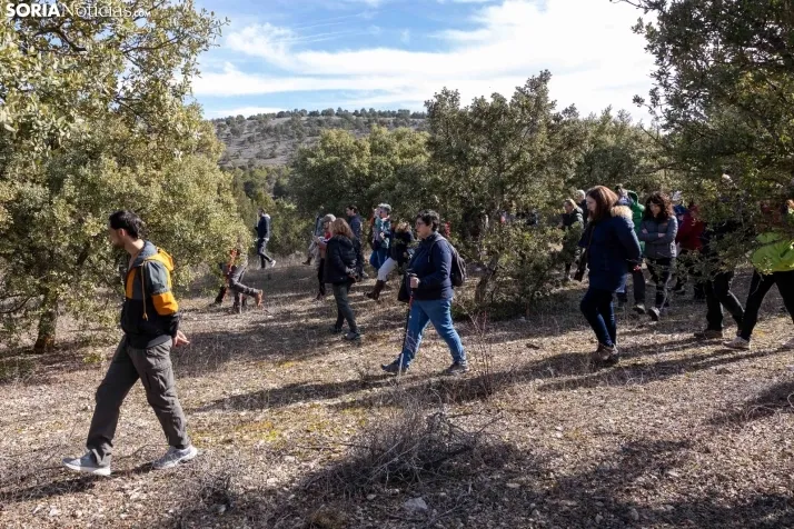 Paseo por una finca trufera