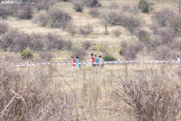 Atletismo en Ólvega./ Viksar Fotografía