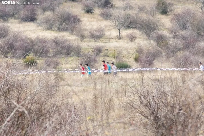 Atletismo en Ólvega./ Viksar Fotografía