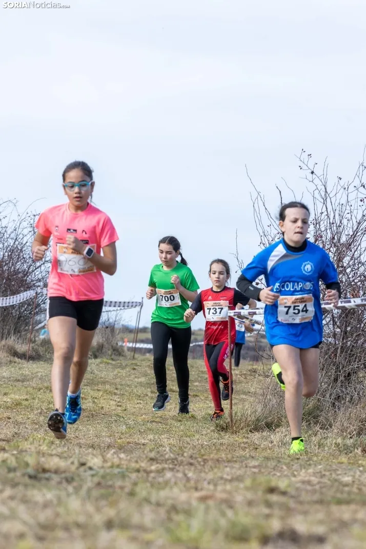 Atletismo en Ólvega./ Viksar Fotografía