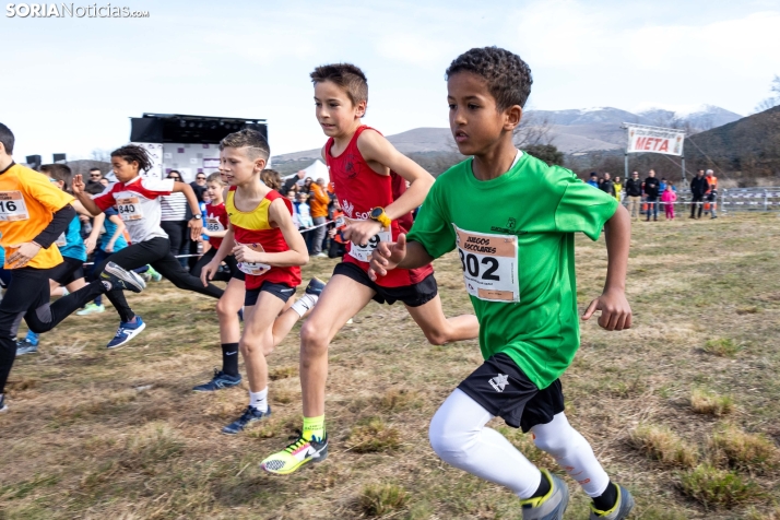 Atletismo en Ólvega./ Viksar Fotografía