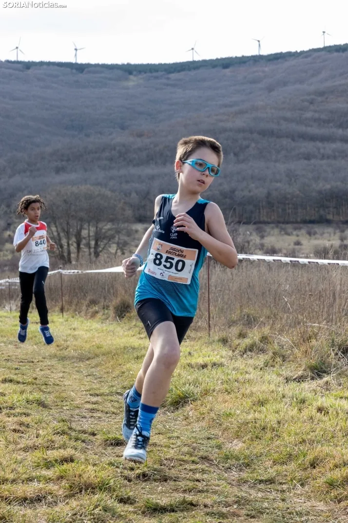 Atletismo en Ólvega./ Viksar Fotografía