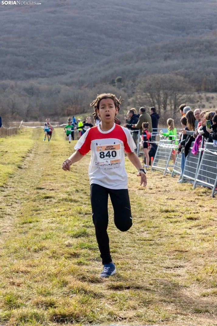 Atletismo en Ólvega./ Viksar Fotografía