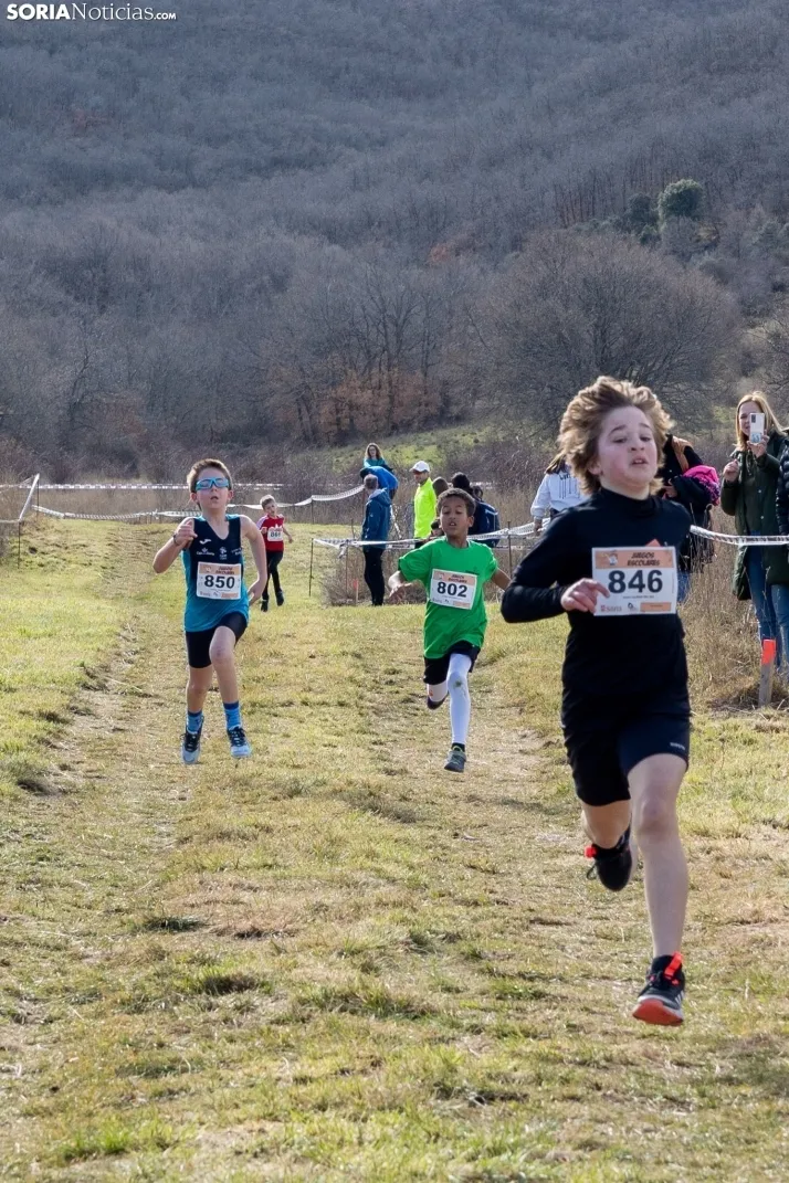 Atletismo en Ólvega./ Viksar Fotografía
