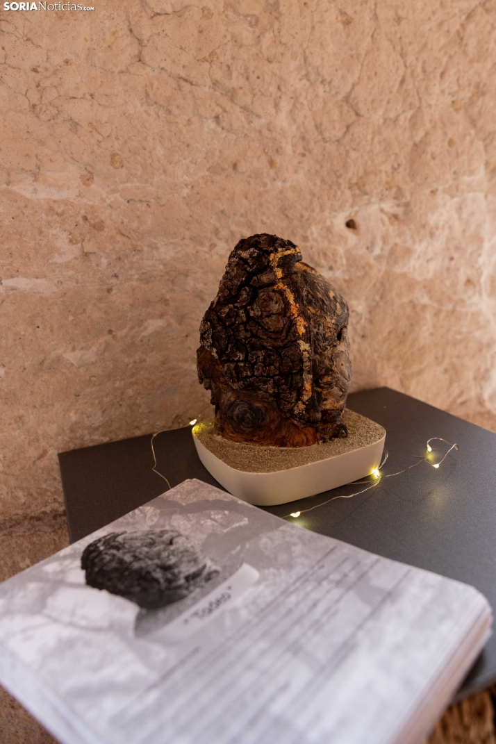 Trufax Medinaceli 2025./ Viksar Fotografía