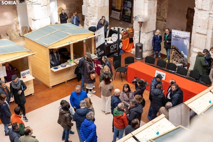 Trufax Medinaceli 2025./ Viksar Fotografía