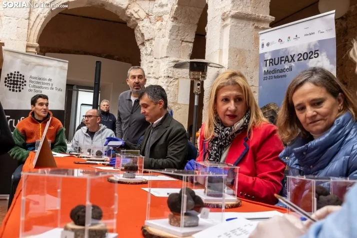Trufax Medinaceli 2025./ Viksar Fotografía
