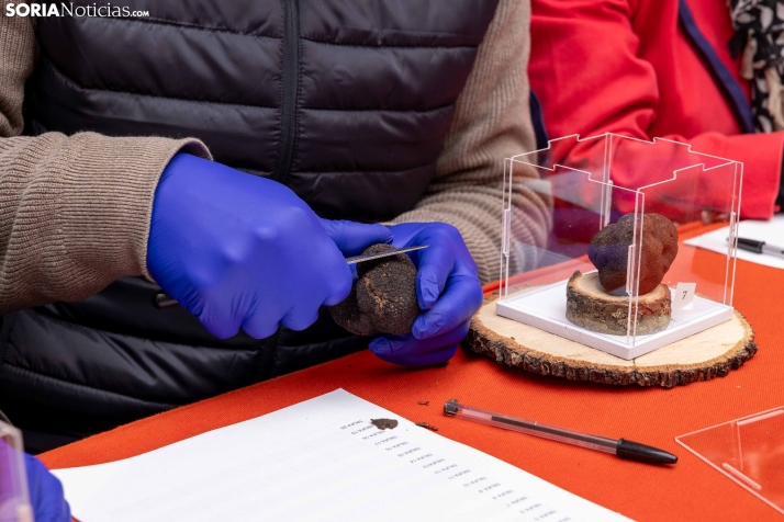 Trufax Medinaceli 2025./ Viksar Fotografía