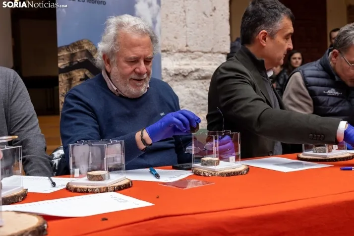 Trufax Medinaceli 2025./ Viksar Fotografía