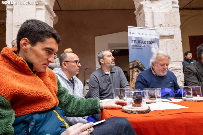 Trufax Medinaceli 2025./ Viksar Fotografía