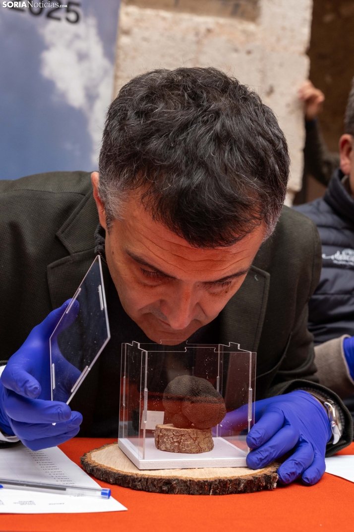 Trufax Medinaceli 2025./ Viksar Fotografía