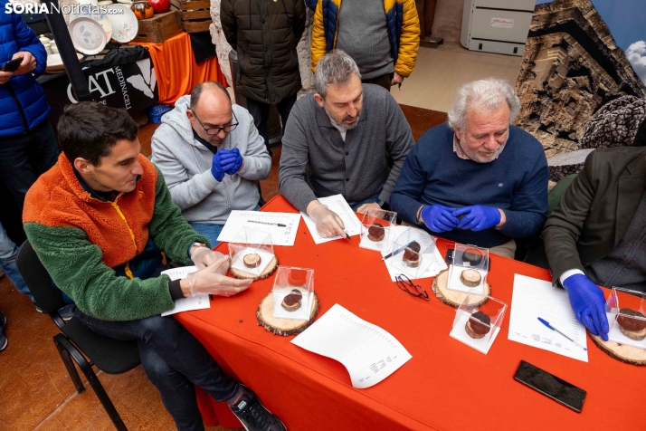 Trufax Medinaceli 2025./ Viksar Fotografía