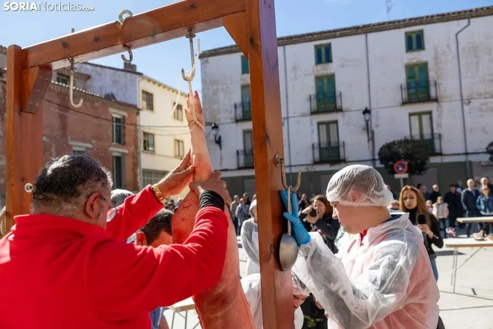 XX Jornadas de las Matanzas en Ólvega./ Viksar Fotografía