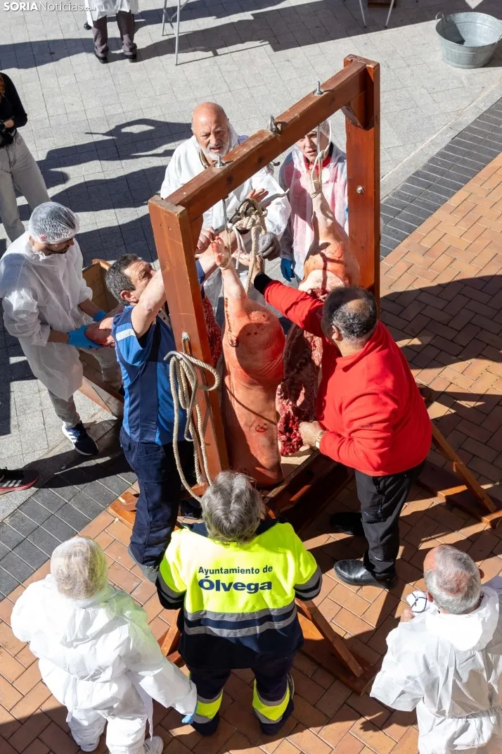 XX Jornadas de las Matanzas en Ólvega./ Viksar Fotografía
