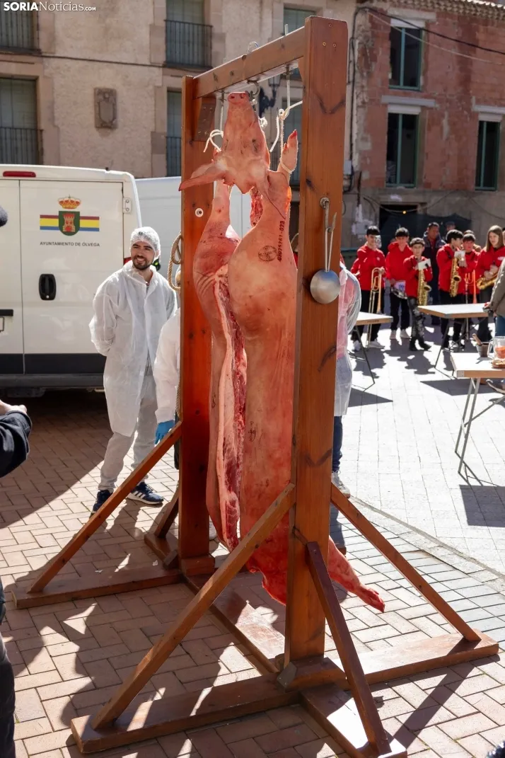 XX Jornadas de las Matanzas en Ólvega./ Viksar Fotografía