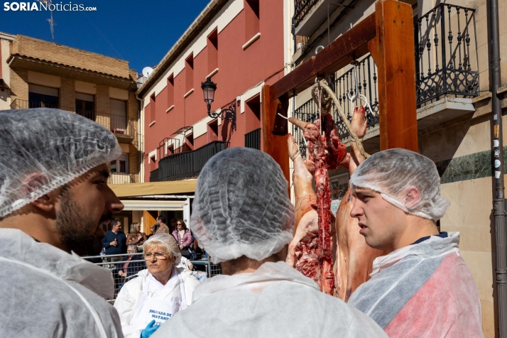 XX Jornadas de las Matanzas en Ólvega./ Viksar Fotografía