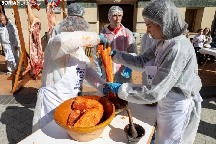 XX Jornadas de las Matanzas en Ólvega./ Viksar Fotografía
