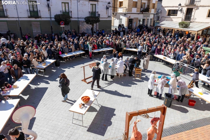 XX Jornadas de las Matanzas en Ólvega./ Viksar Fotografía