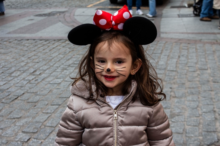 GALER&Iacute;A | Cabezudos, disfraces y chiquiller&iacute;a, obligados ingredientes para el carnaval de Soria 