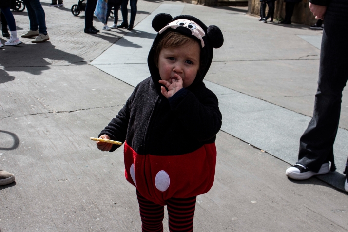 GALER&Iacute;A | Cabezudos, disfraces y chiquiller&iacute;a, obligados ingredientes para el carnaval de Soria 