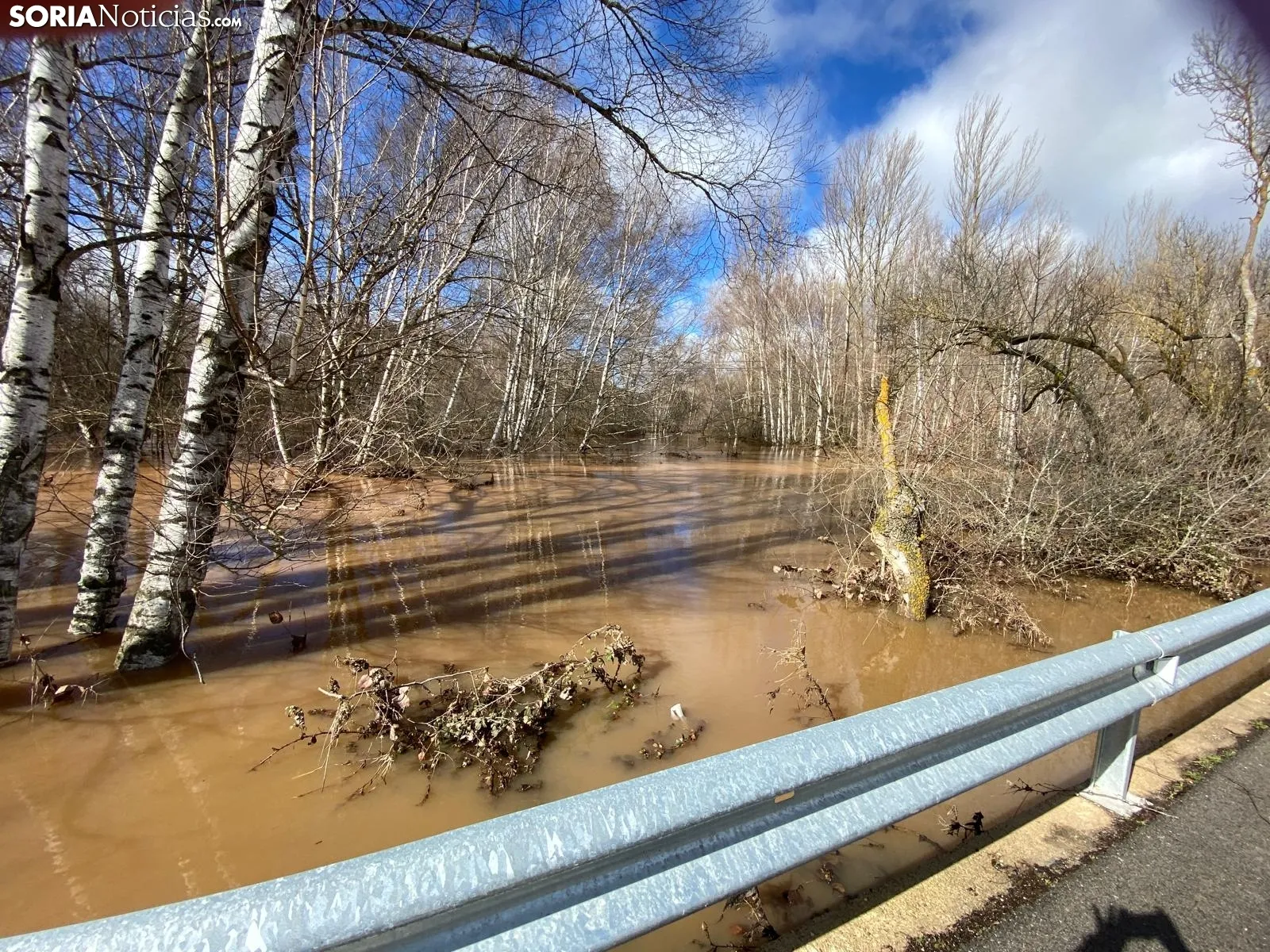 Una imagen del río esta mañana en Garray. /SN