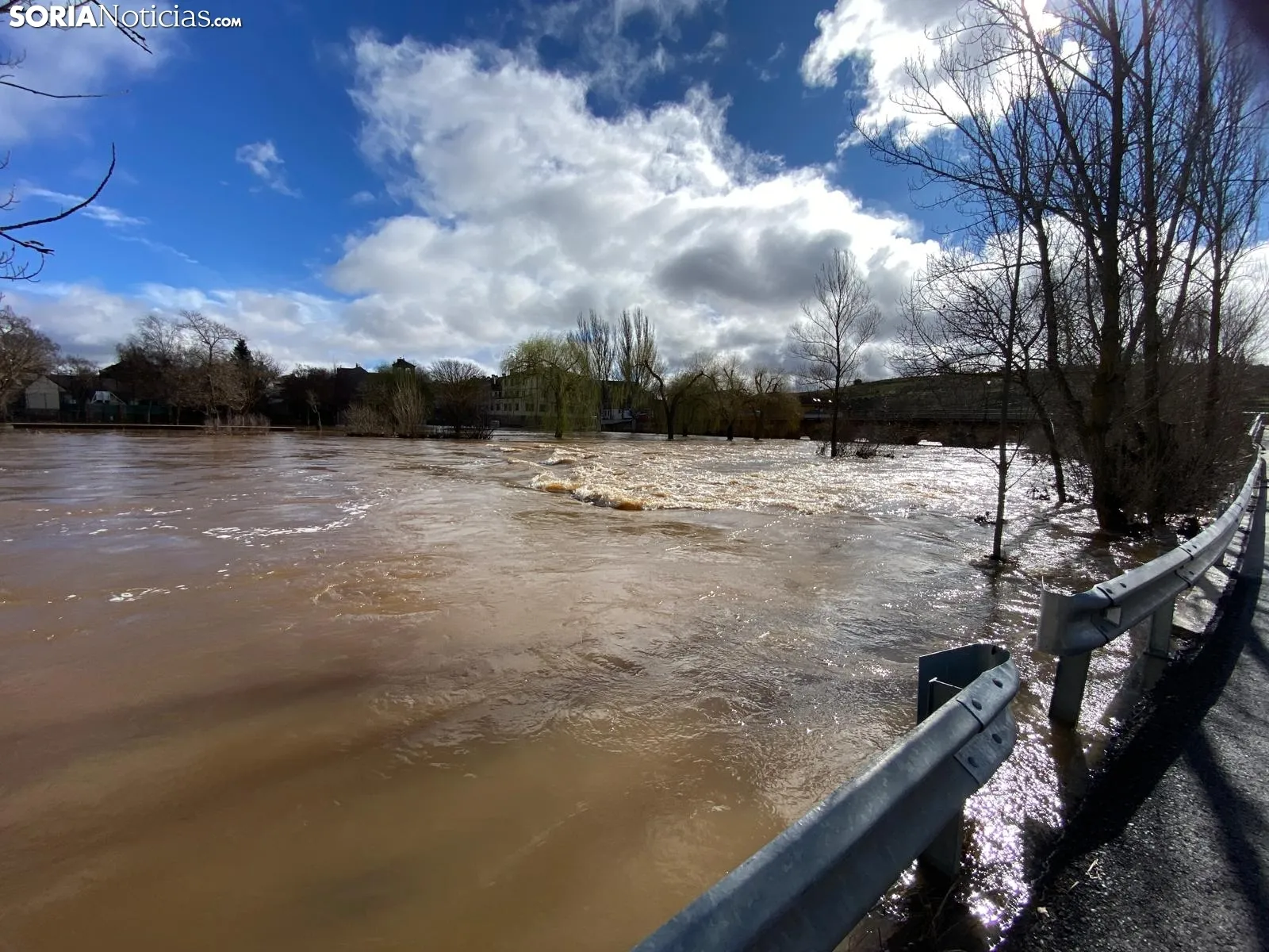 Una imagen del río esta mañana en Garray. /SN